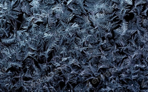 Preview: Frost crystals on black rime texture