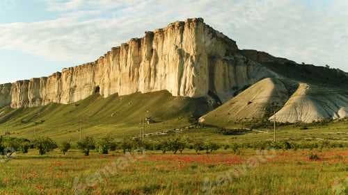 Preview: Side view of green meadows with many red flowers in front of high mountain. Shot. Stunning poppy