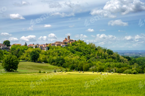 Preview: Landscape on the Tortona hills at springtime.