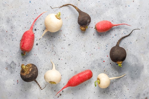 Preview: Various fresh radishes,white radish,long pink radish and black radish.