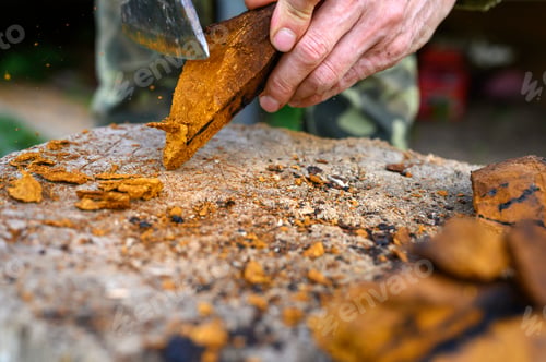 Preview: men's hands with an axe chop into pieces peeled mushroom chaga birch mushroom. step by step