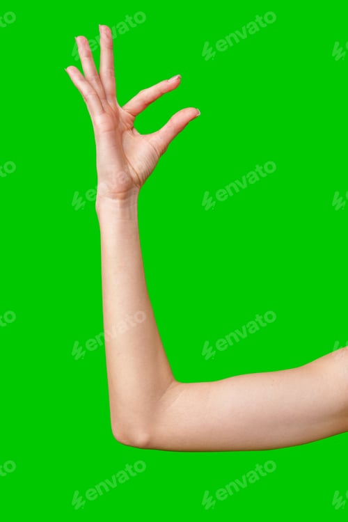 Preview: Woman's Hand Making Okay Gesture on Green Screen