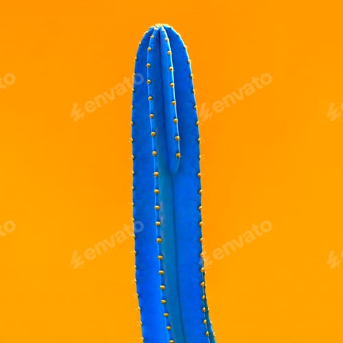 Preview: Blue Cactus. Art Gallery Fashion Design. Minimal