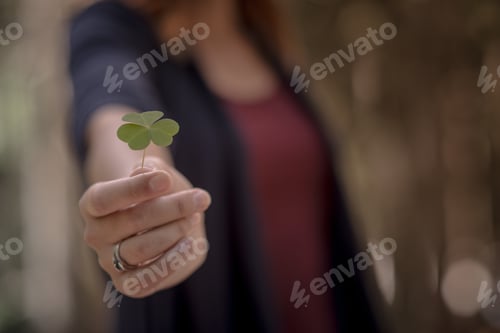 Preview: Clover in female hand in sunny spring day