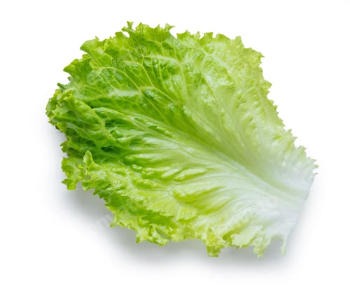 Preview: fresh green lettuce leaf