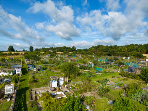 Preview: Aerial view of allotments soaking up the sunshine in Eccup, Leeds,West Yorkshire, UK