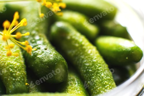 Preview: jar with pickled cucumbers on a white background. gherkins cucumbers top view