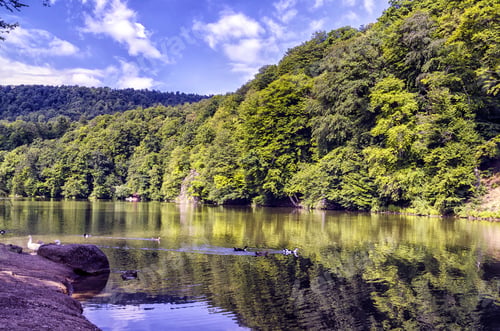 Preview: Wide angle shot of a mountain covered in trees in front of the water
