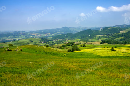 Preview: Vineyards at May in Piedmont, near Brignano and Serra del Monte