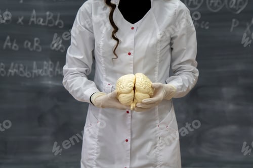 Preview: a biology class, teacher's hands hold human brains model