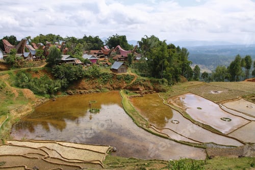 Preview: Village of Limbong