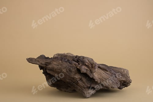 Preview: Wooden driftwood lying on a natural background. Mockup style. Blank copy space for design.