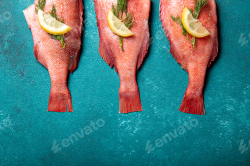 Preview: Fresh red sea bass on blue background