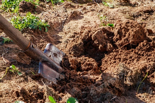 Preview: Digging up the earth with hand shovel. Gardening and planting seeds in spring. Rural life, farming.