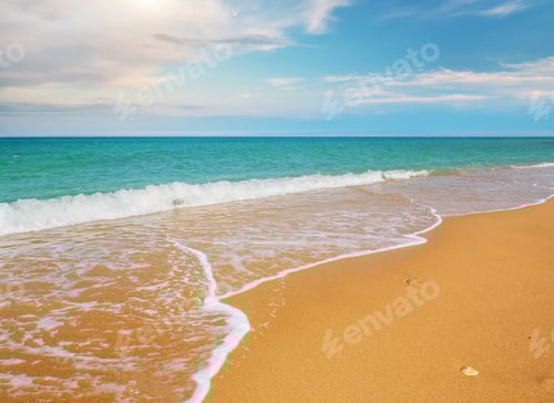 Preview: Sandy seashore at day.