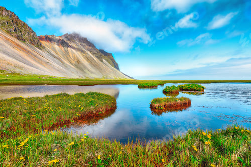 Preview: Splendid sunny day and gorgeous meadow near Vestrahorn mountaine on Stokksnes cape in Iceland