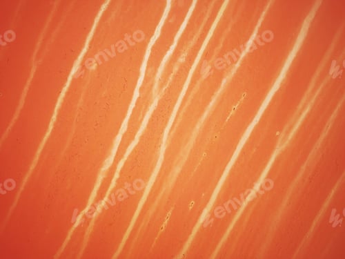 Preview: Grunge Textures And Backgrounds