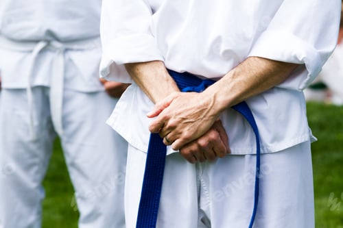 Preview: Tae Kwon Do