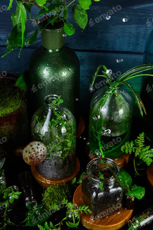 Preview: Mini glass vases and bottle with green leaves, plants. Gardening.