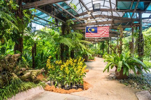 Preview: Orchid garden, Perdana Botanical Garden, Tun Abdul Razak Heritage Park, Kuala Lumpur, Malaysia, Sout