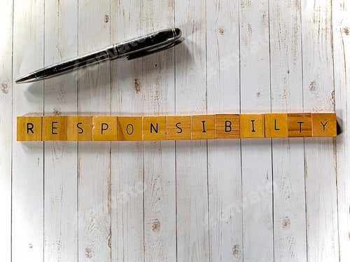 Preview: RESPONSIBILITY