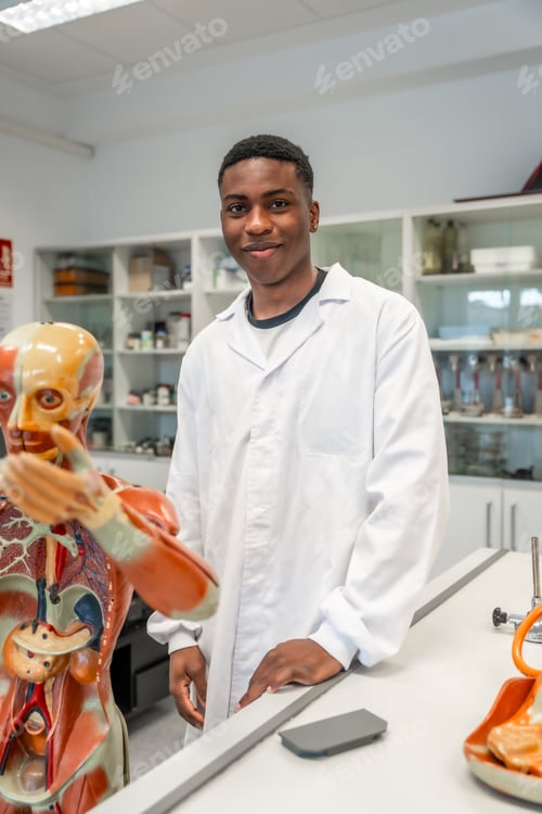 Preview: Medical student studying human anatomy in university lab