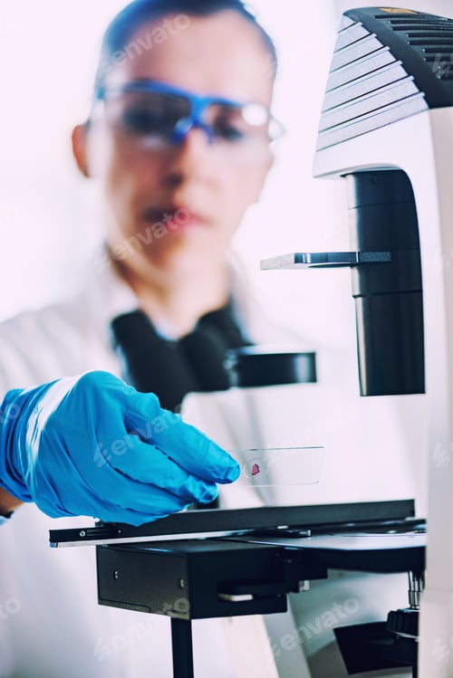 Preview: Scientist researching in laboratory