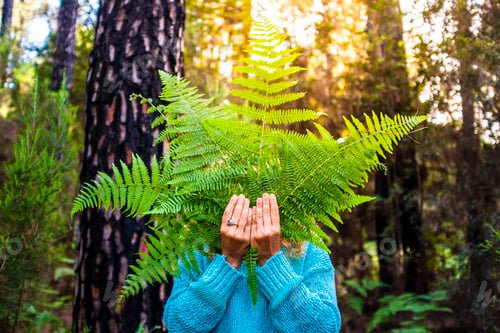 Preview: Portrait of unrecognizable people hidden by big leafs from nature