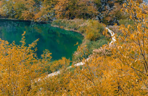 Preview: Wooden path in Plitvice lakes national park in Croatia in autumn
