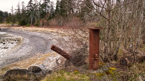 Preview: Rusty iron fence posts from past logging beside an ocean beach with dried bushes in the background