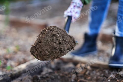 Preview: Young Happy woman with garden tools working