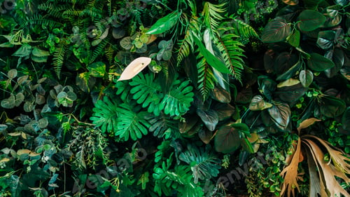 Preview: Close up group of background tropical green leaves texture and abstract background.