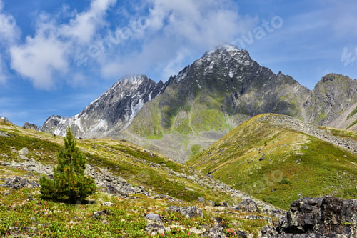 Preview: Alpine tundra in mountains of Eastern Siberia