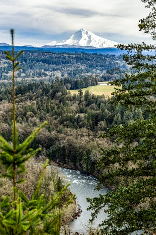 Preview: Scenic view of Mount Hood with lush forest and winding river, under a cloudy sky in Oregon.