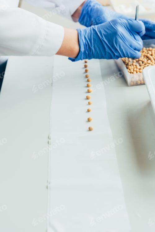 Preview: partial view of biologist putting seeds in row by tweezers at table in agro laboratory