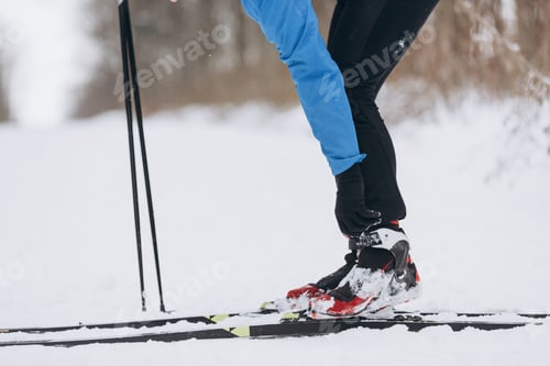 Winter Cross-Country Skiing on Snowy Day