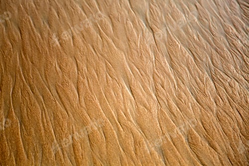 Preview: Sand ripples