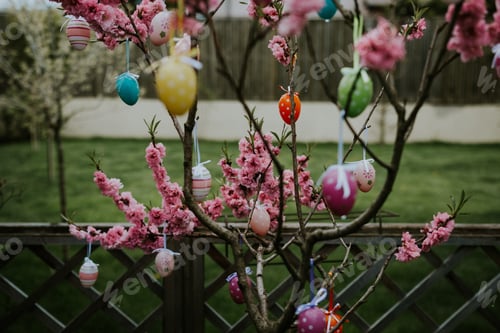 Preview: Pink flowers in the tree and Easter eggs