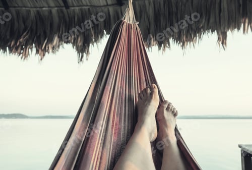 Preview: Hammock