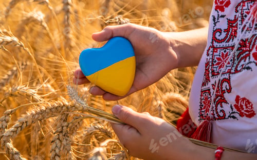 Preview: Child in a field of wheat with the flag of Ukraine. Selective focus.