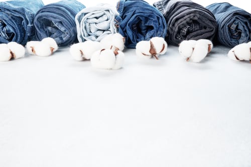 Preview: Row of rolled jeans and cotton flowers on light background