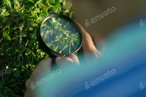 Preview: Little boy looking on grass with magnifier. Preschooler child is exploring nature