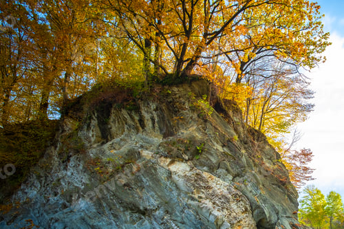 Preview: Yellow autumn forest with trees on high rocky mountain side