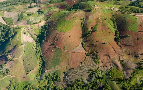 Preview: Terraced rice field at Mae Cham Chiangmai Northern Thailand. Top view