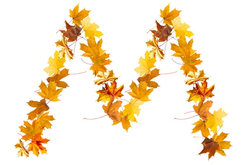 Preview: Alphabet letters made with yellow autumn leaves to form the capitals on a stone background. The