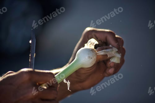 Preview: Diverse unrecognizable farmer peels loose skin from a spray onion vegetable for sale at market