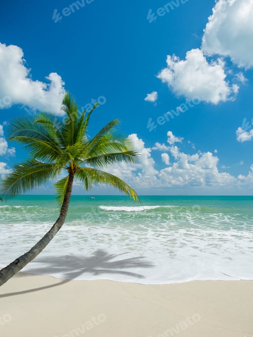 Preview: View of Chaweng beach, Koh Samui , Thailand