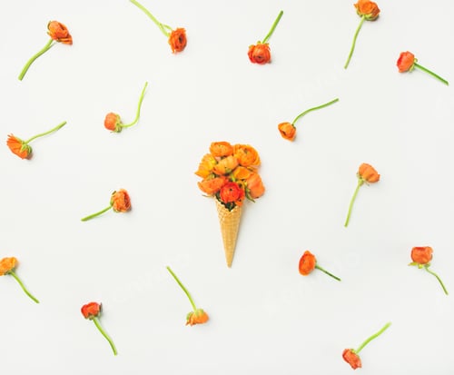 Preview: Orange Ranunculus Flowers with Ice Cream Cone