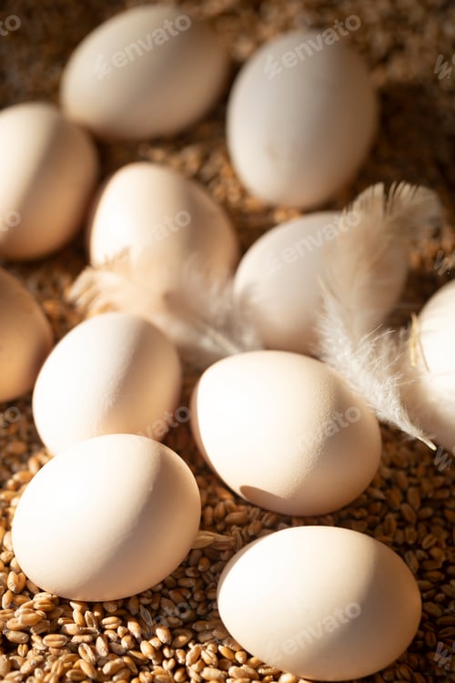 Preview: eggs lie on wheat