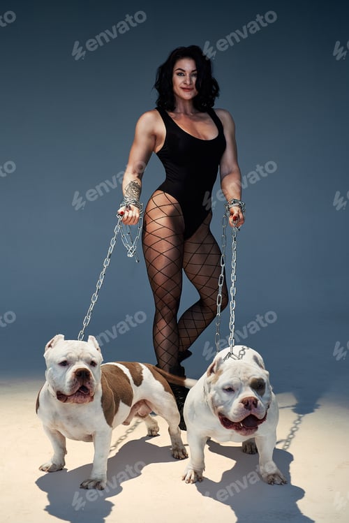 Preview: sexy athletic brunette in swimsuit posing with american bully fighting dogs in studio.